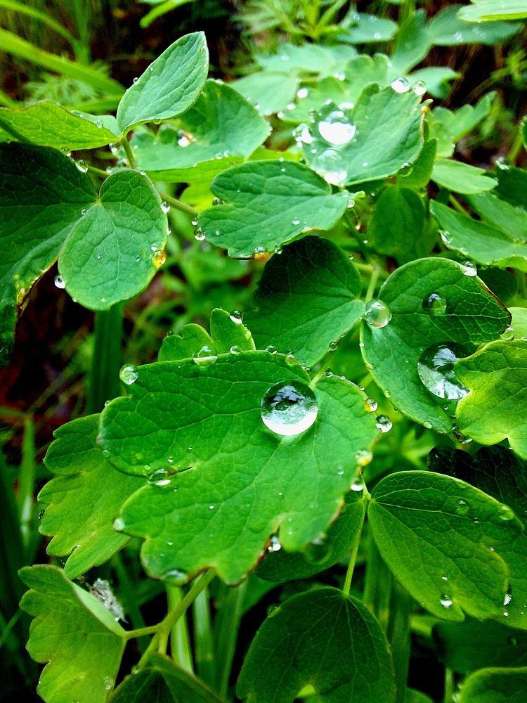 Фотография автора Анастасия