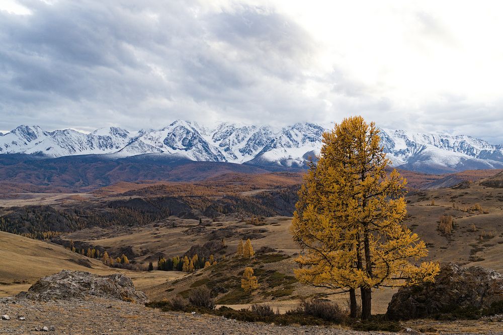 Photograph by Jaap van der Kooij