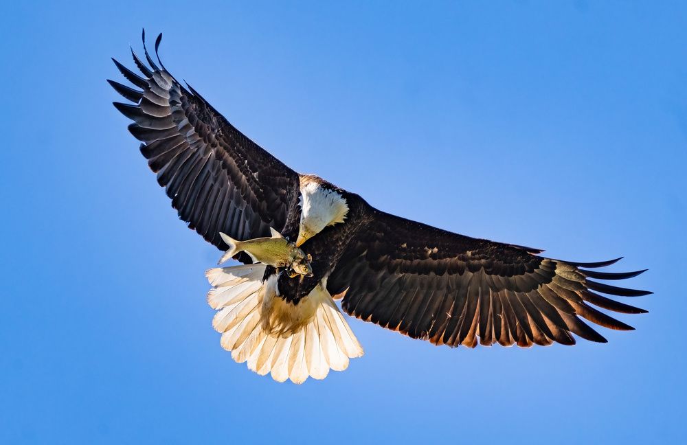 Photograph by Nitin Baste