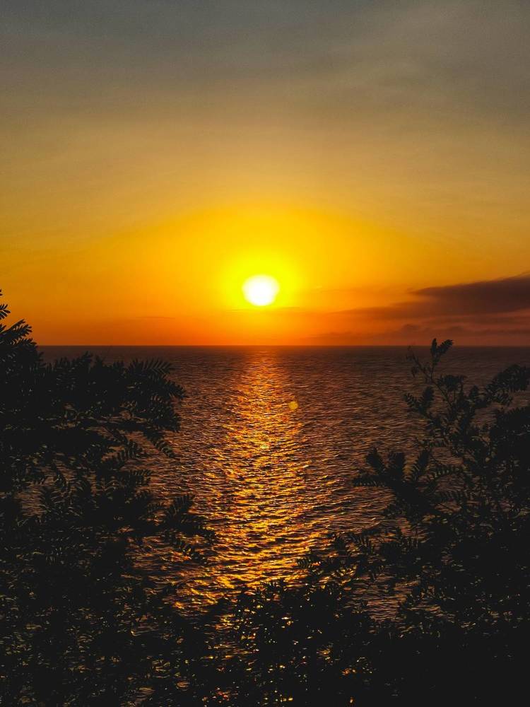 Photograph by Мария Ванина