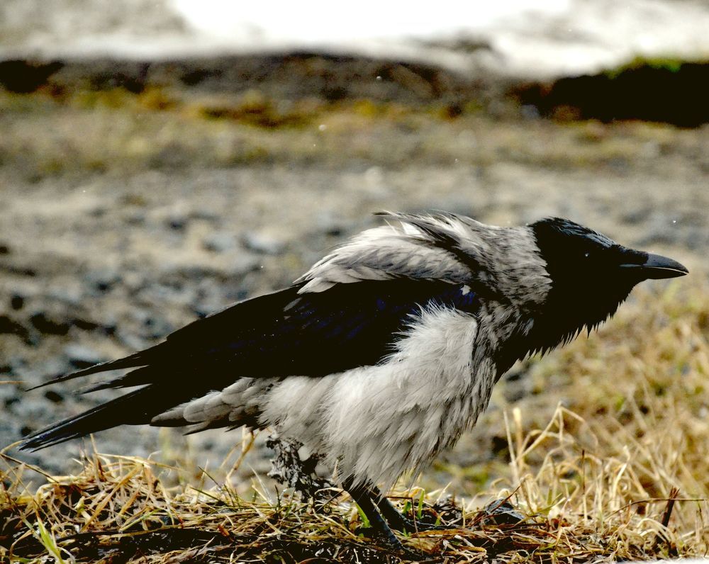 Photograph by Артем Великанов