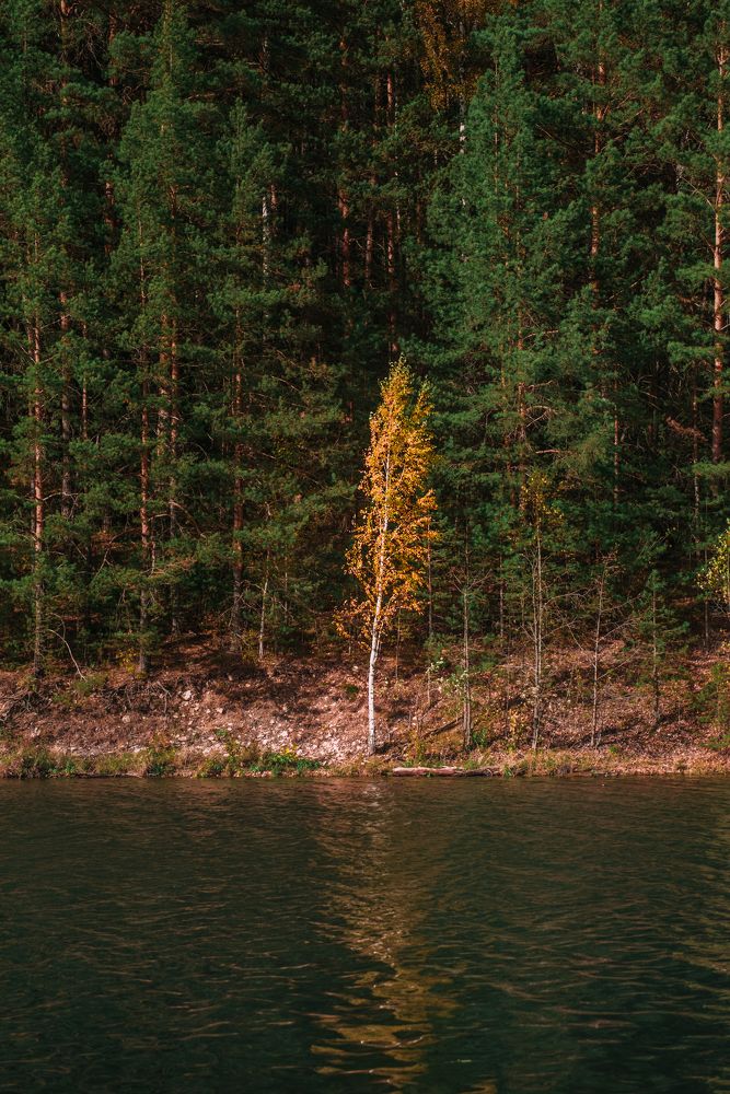 Photograph by Екатерина Ревина