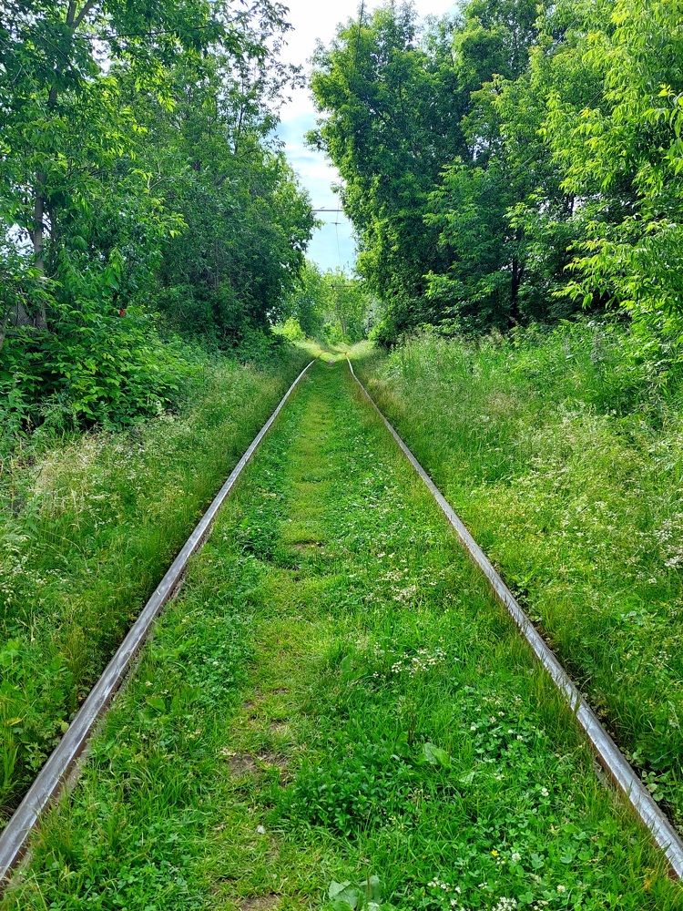 Фотография автора Анастасия