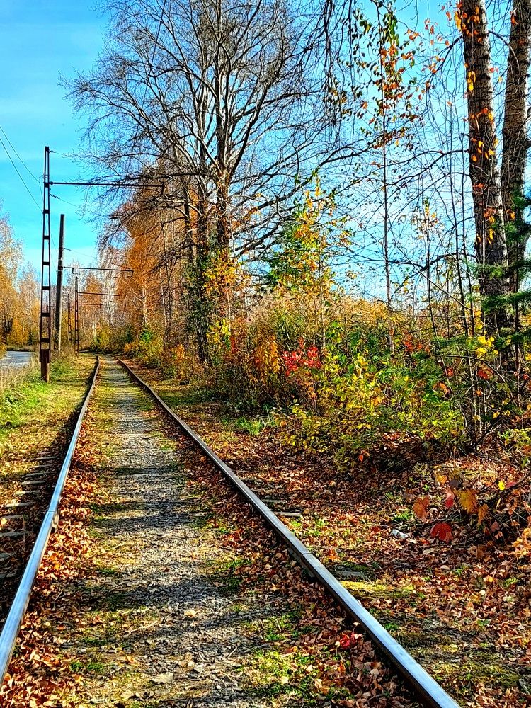 Фотография автора Анастасия