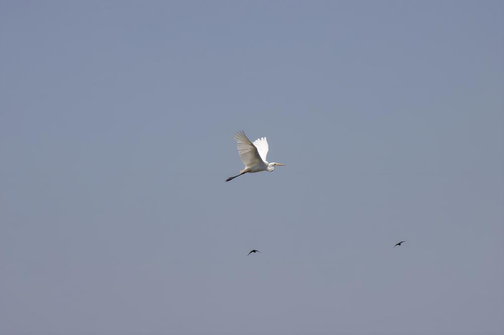 Photograph by Ирина Шибитова