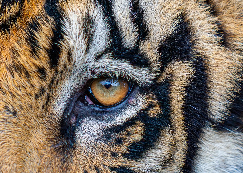 Photograph by Nitin Baste