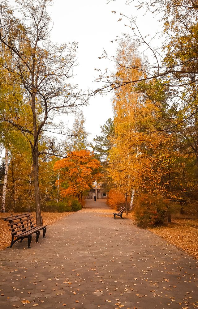 Photograph by Юлия Закопайло