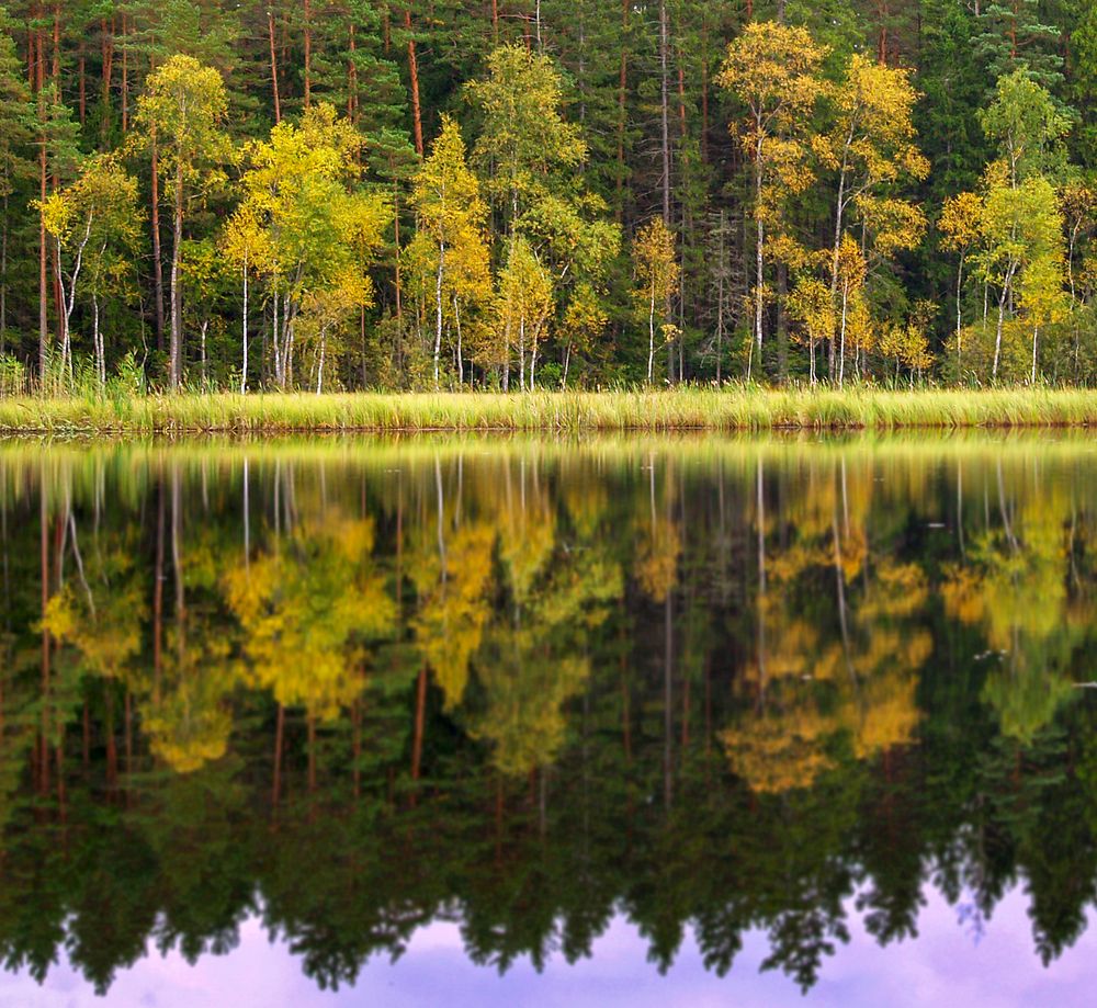 Photograph by Agita Leimane