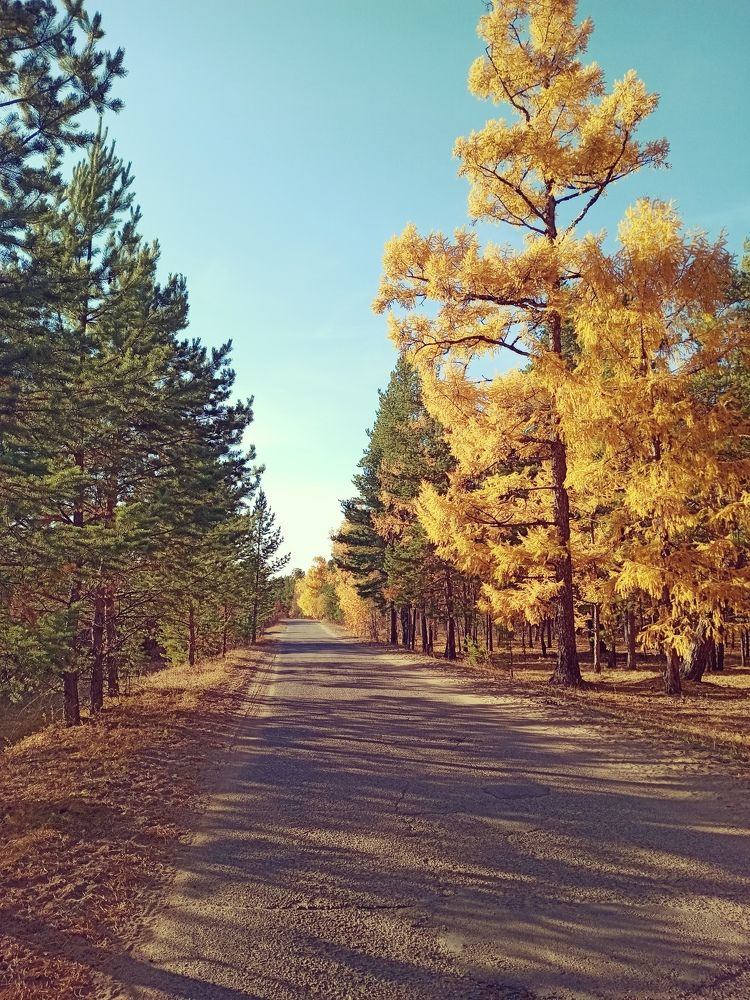 Photograph by Людмила Левина