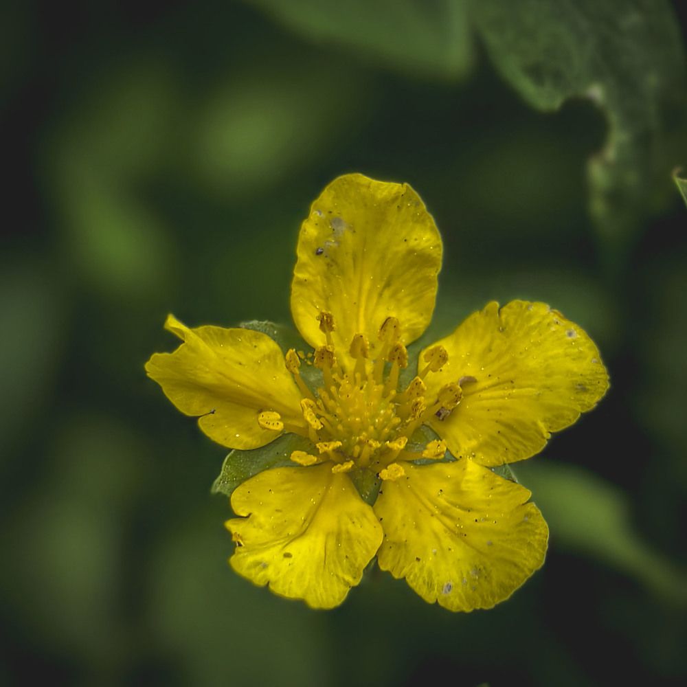 Photograph by Сергей Балашов