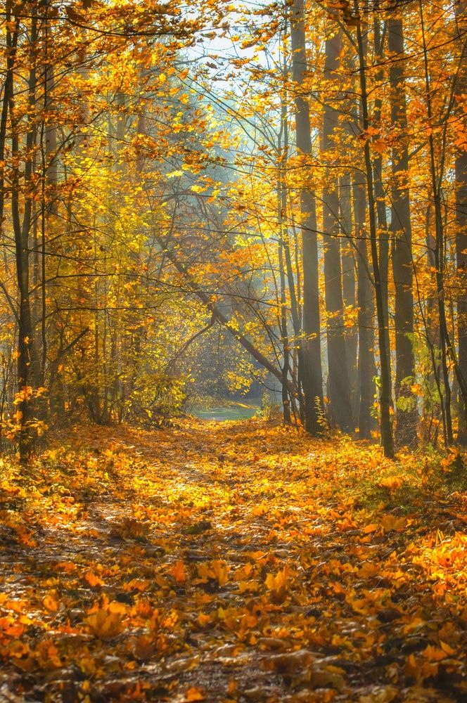 Photograph by Елена Кошелева