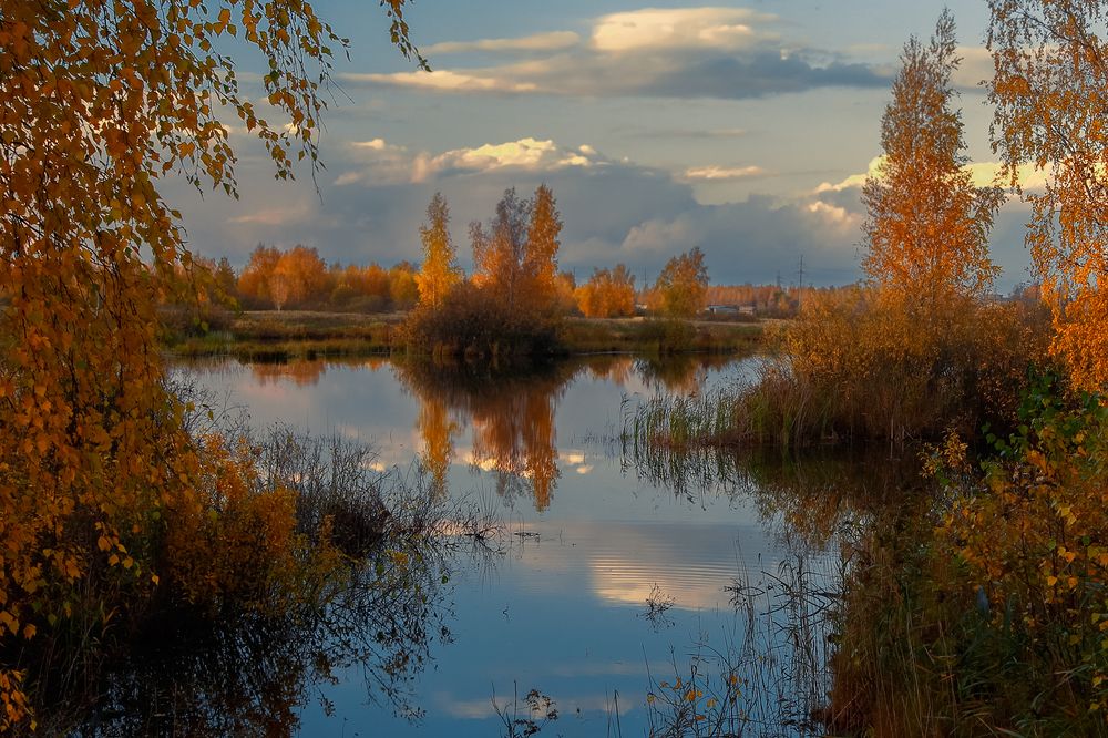 Photograph by Елена Рубинская