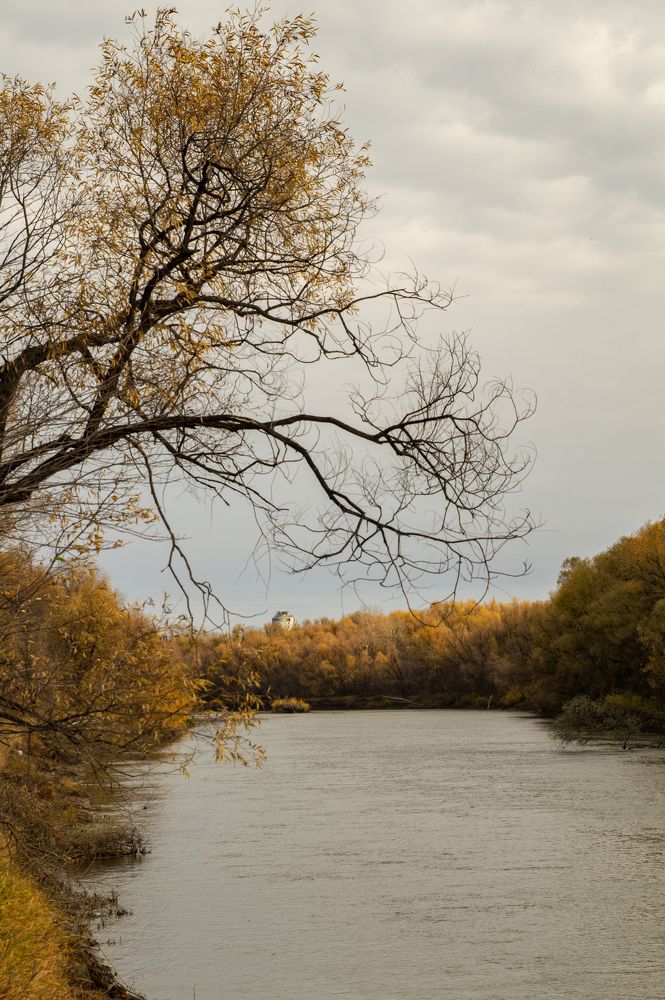 Photograph by Михаил Мостовой