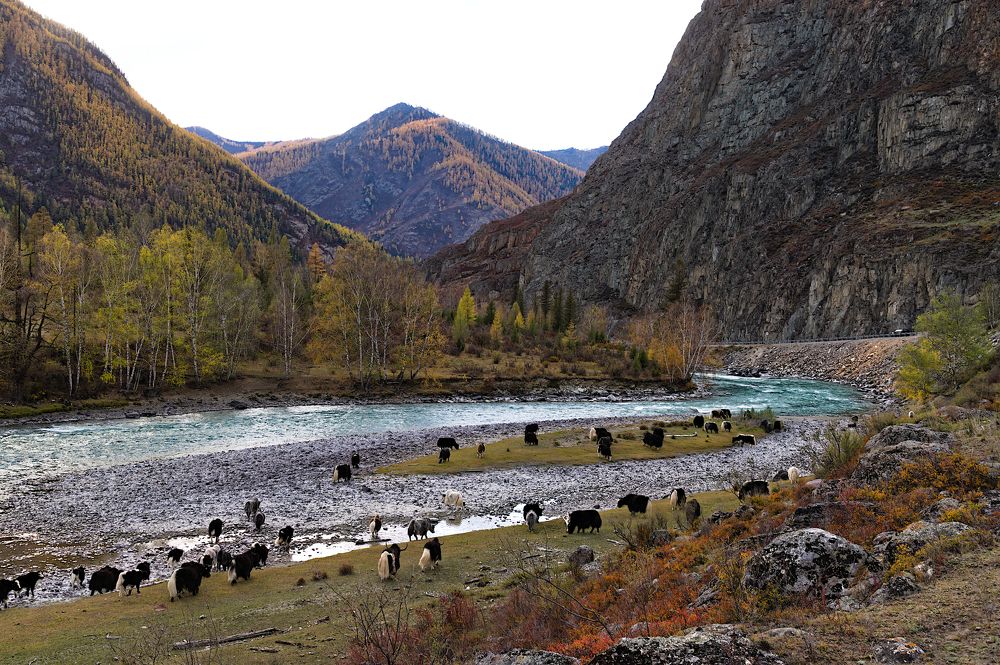 Photograph by Jaap van der Kooij