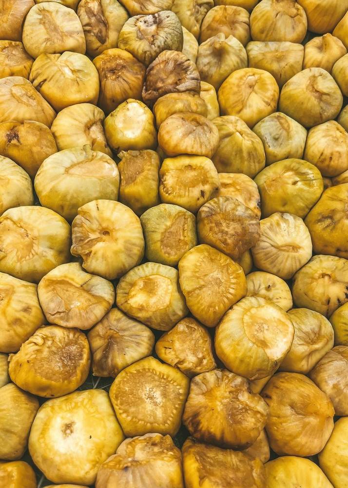 Photograph by Marina Zvada