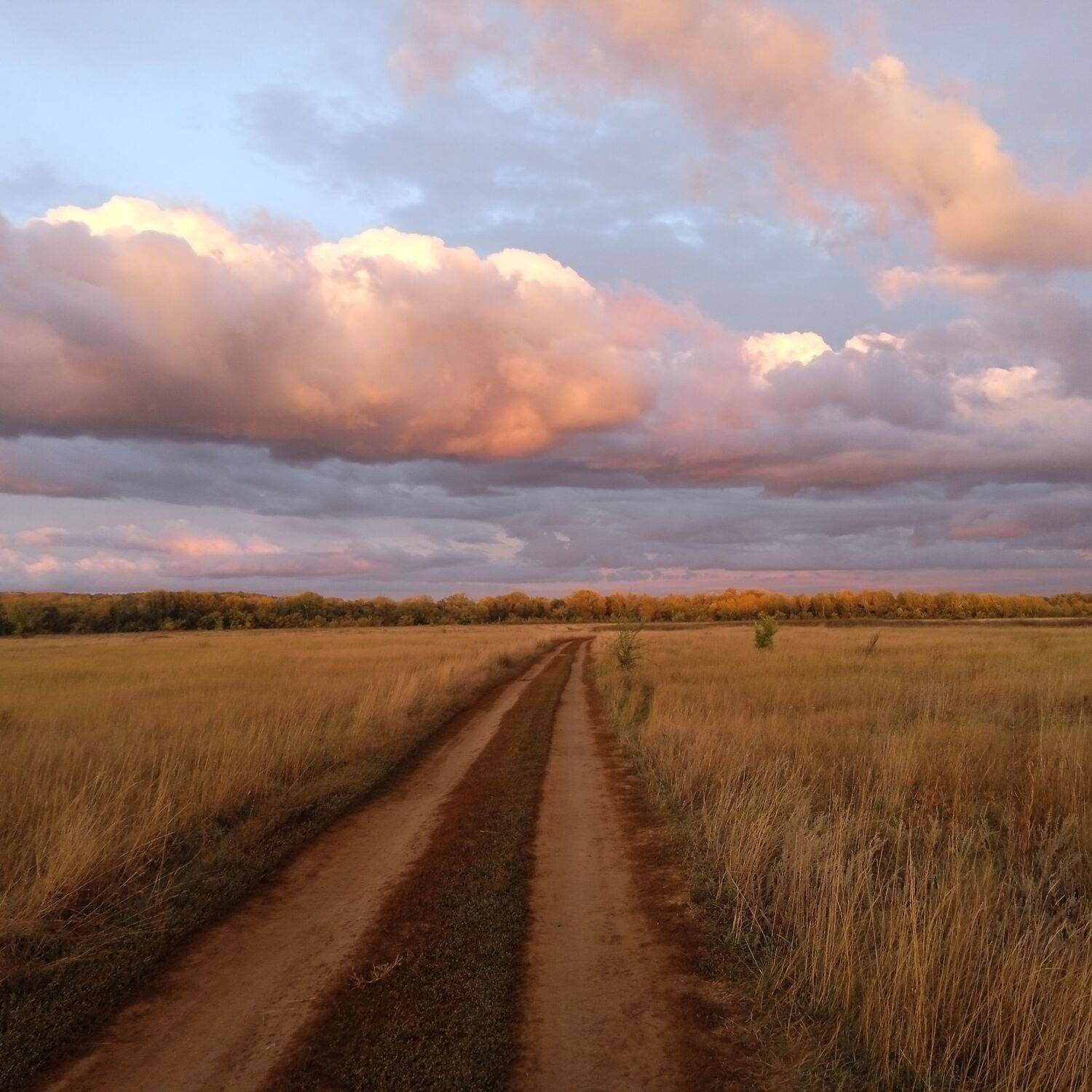 Photo #11145570