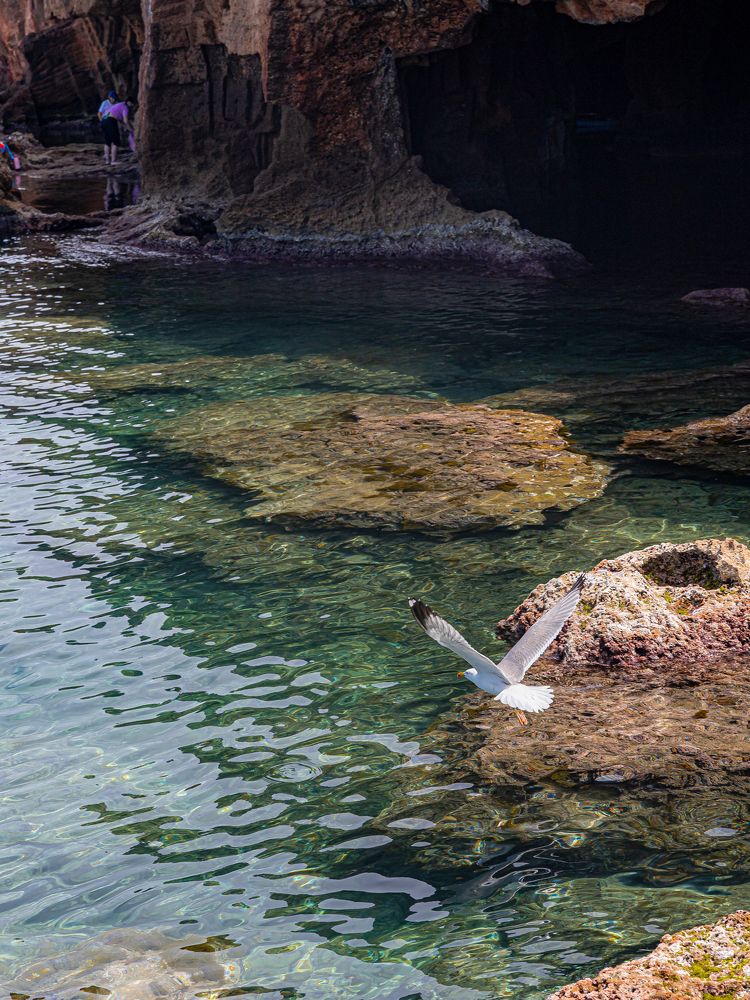 Фотография автора Dr_Plat