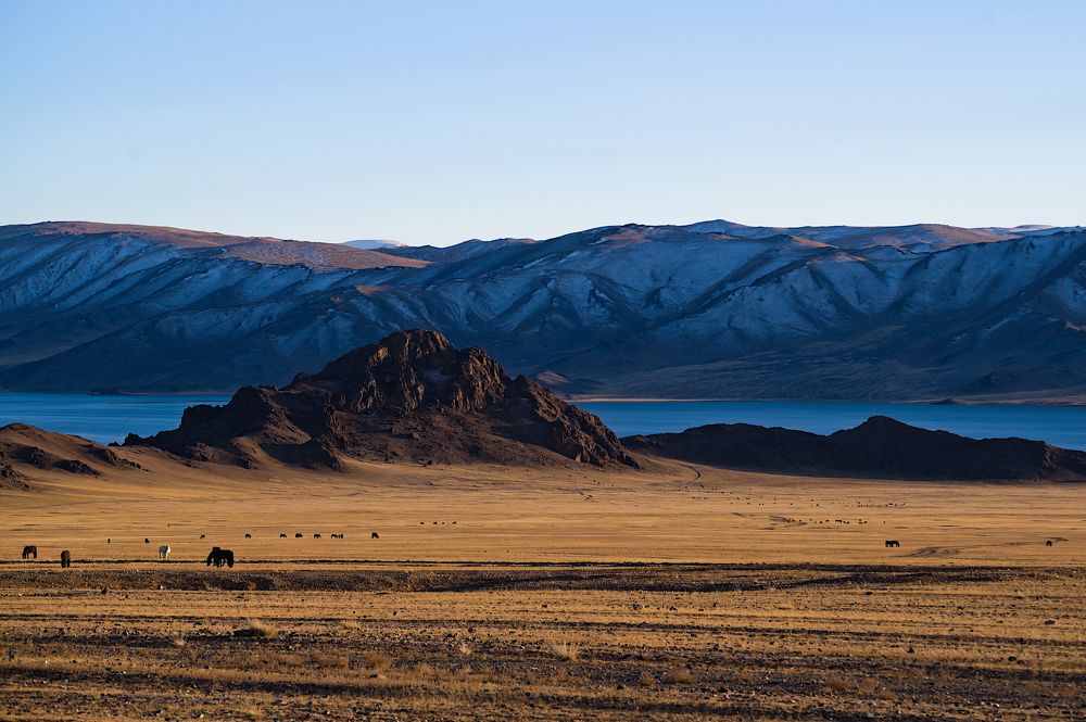 Photograph by Jaap van der Kooij