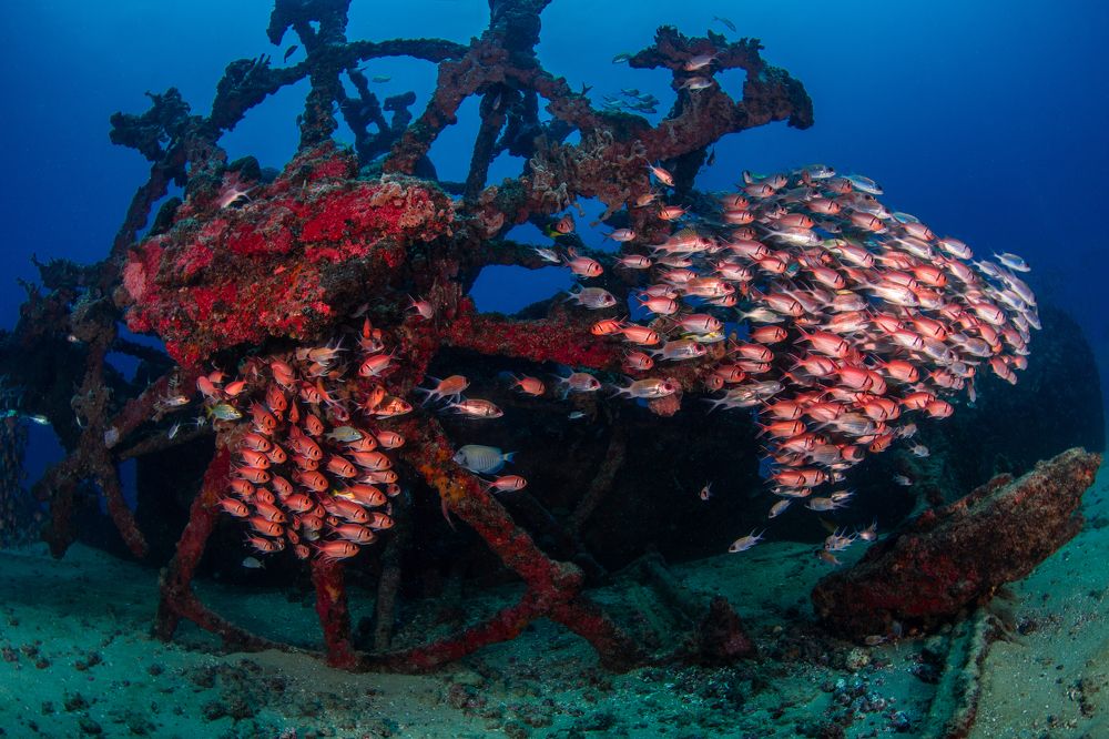 Photograph by Carlos Eduardo Barreto Pinheiro