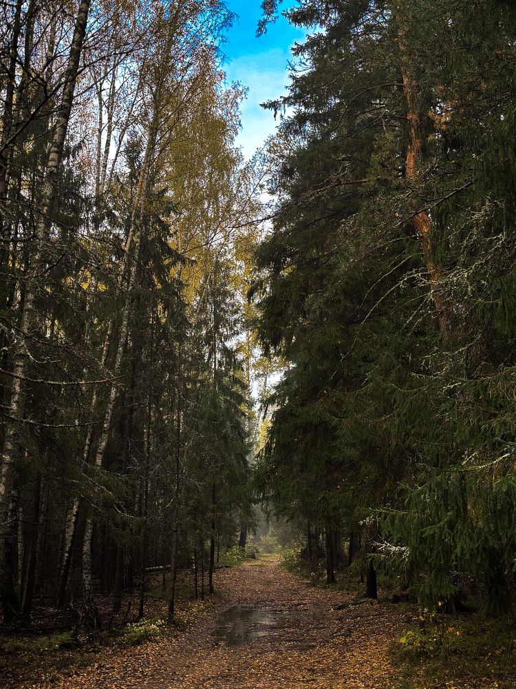 Photograph by Иван Весельников