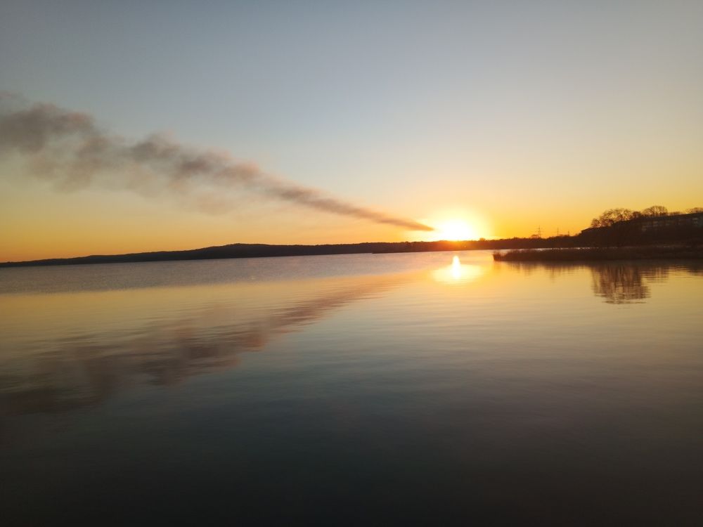 Photo #11145600