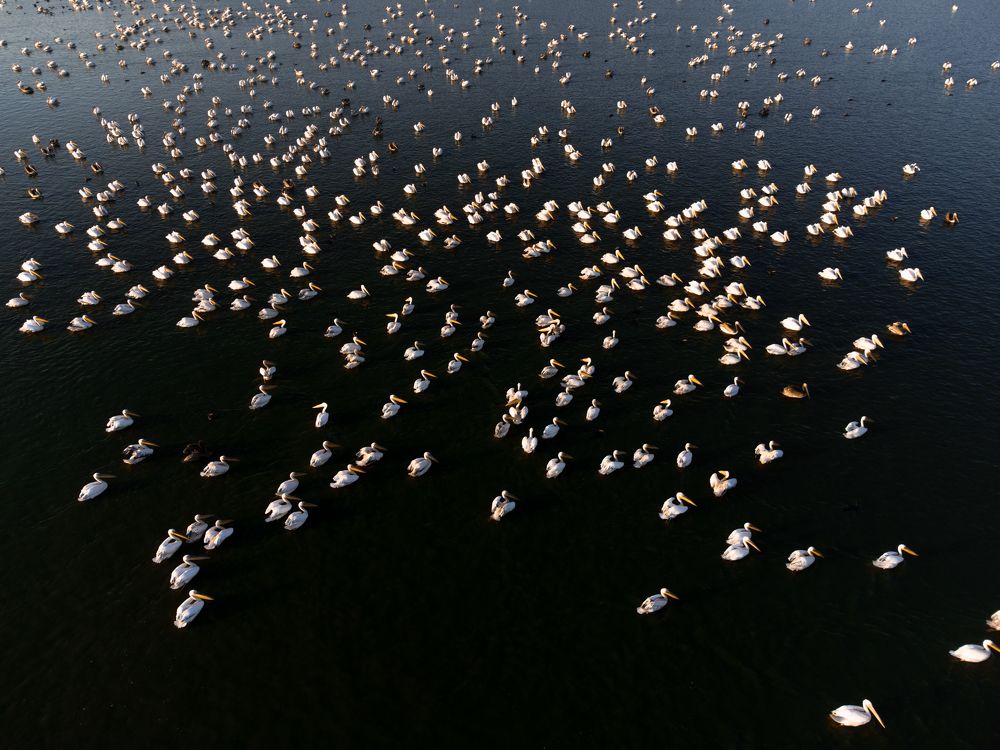 Photograph by Lyuboslav Bochev