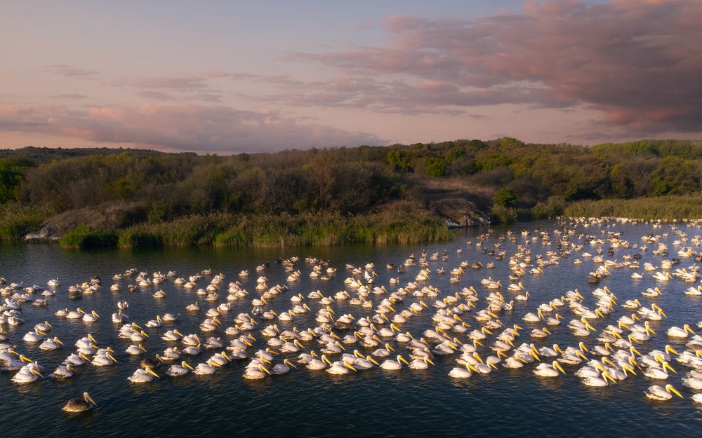 Фотография автора Lyuboslav Bochev