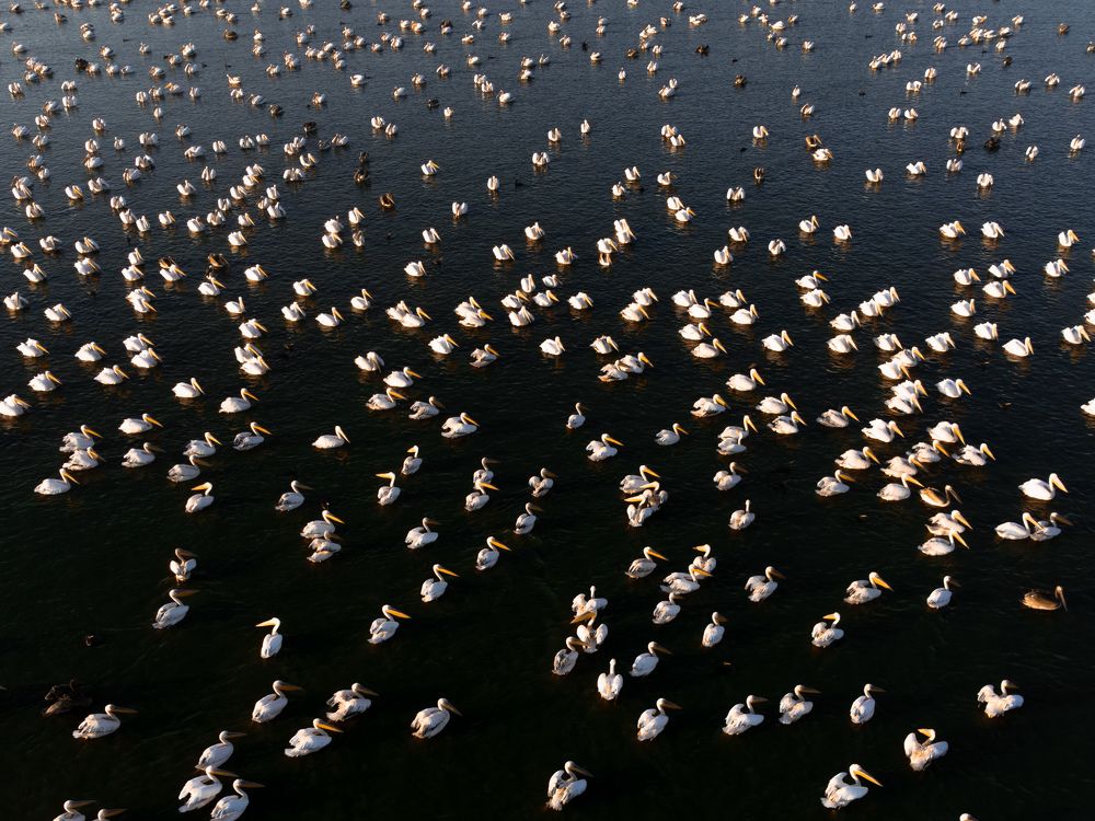 Фотография автора Lyuboslav Bochev