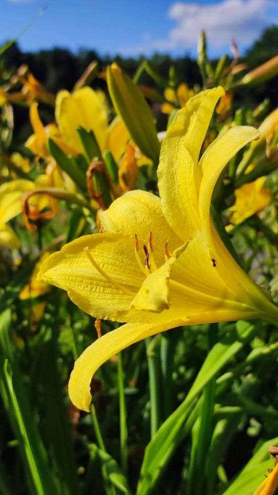 Photograph by Evgenia Korchagova