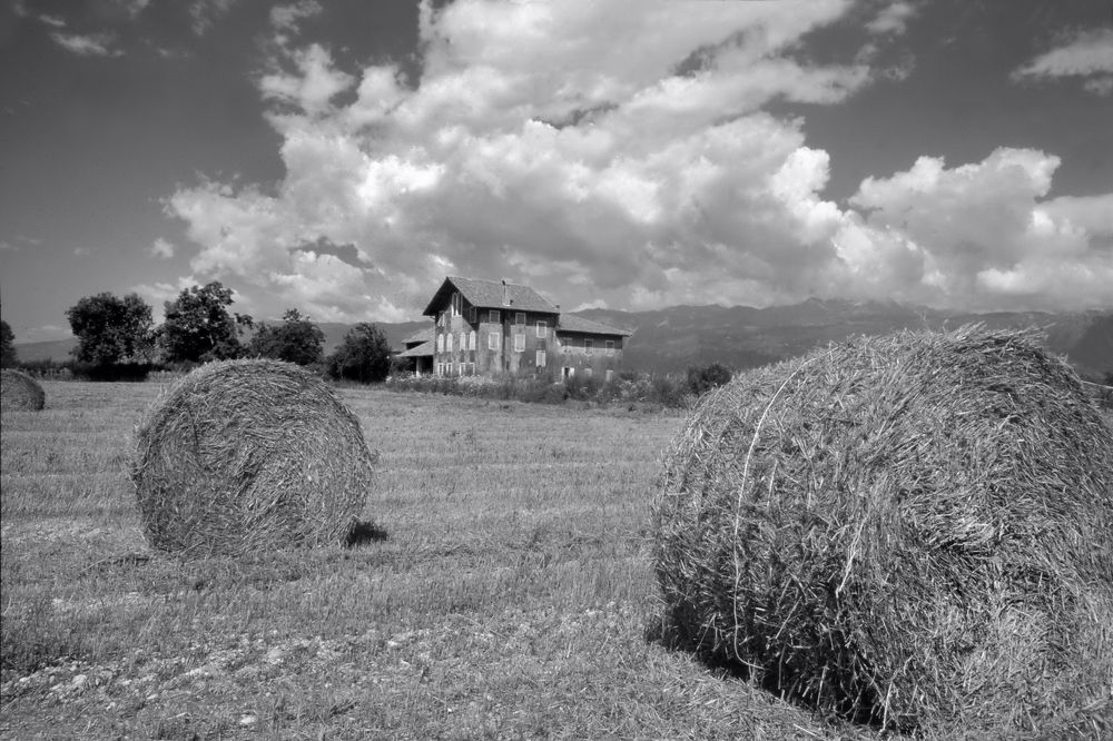 Photograph by Riccardo Moretti