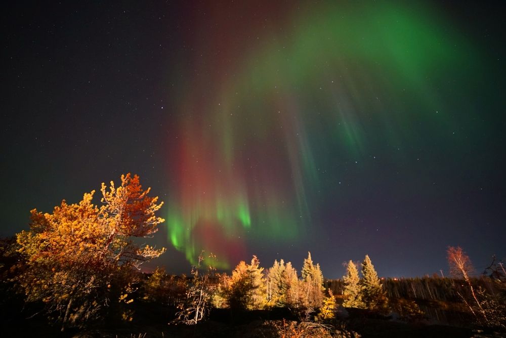 Photograph by JONATHAN VALDEZ