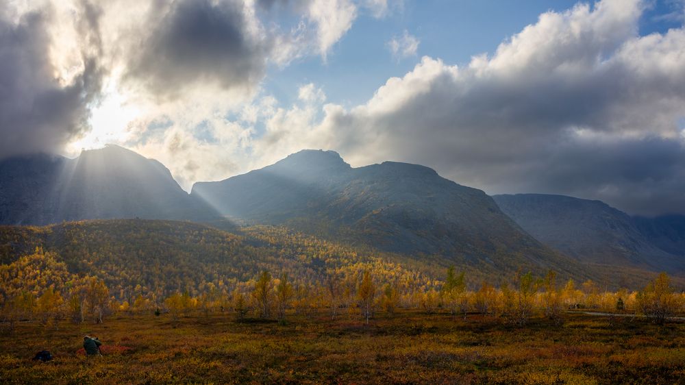 Photograph by Vera Komarova