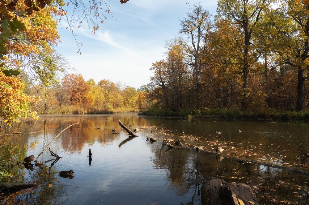 Photograph by Юлия Морозова