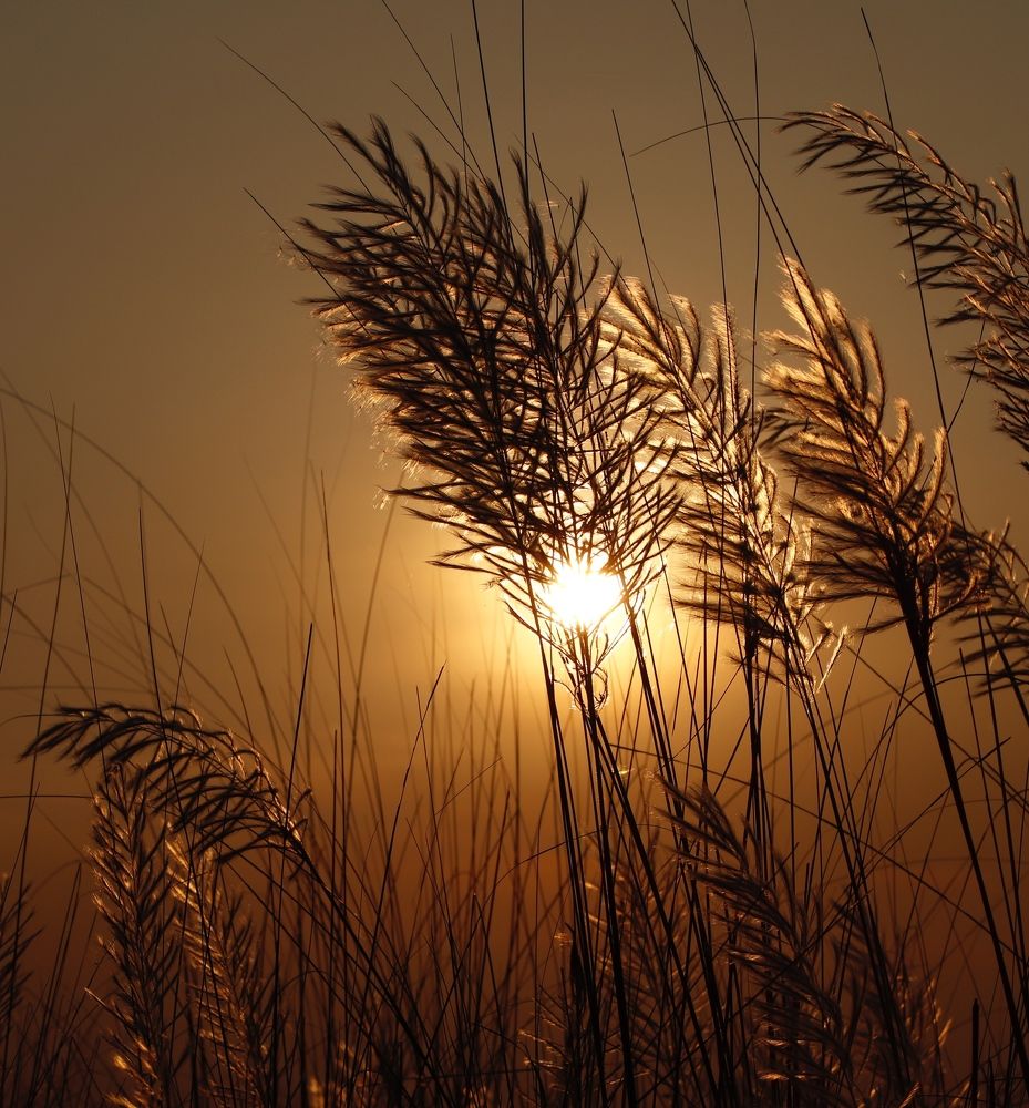 Фотография автора Washiful Majid