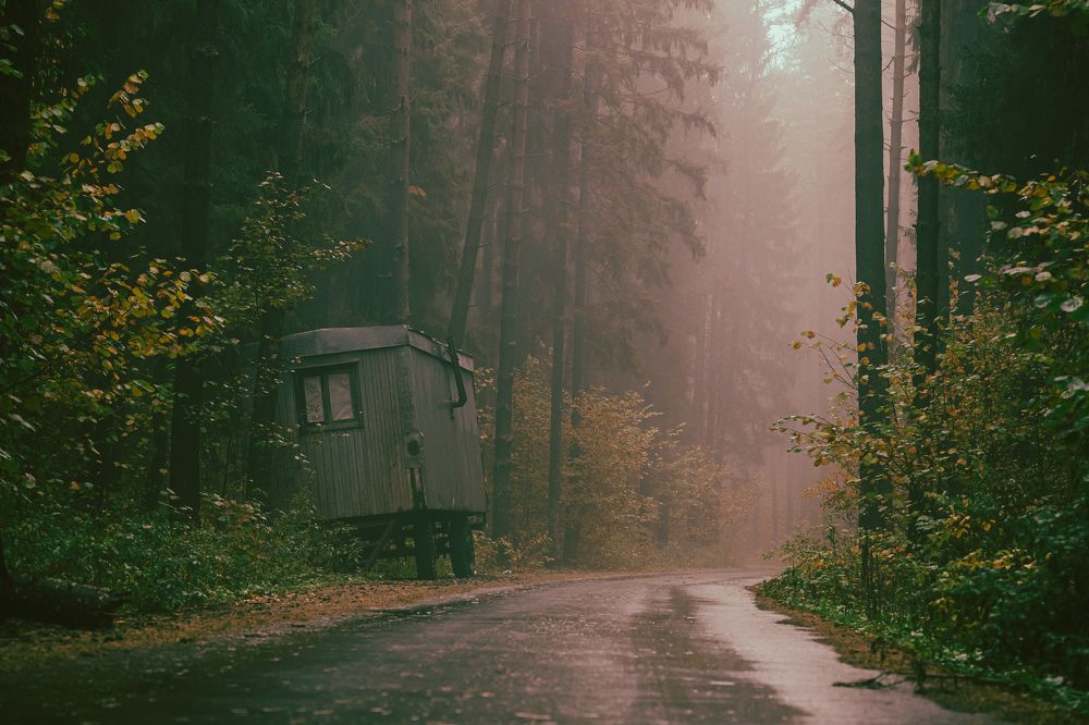 Photograph by Александра Лаврентьева