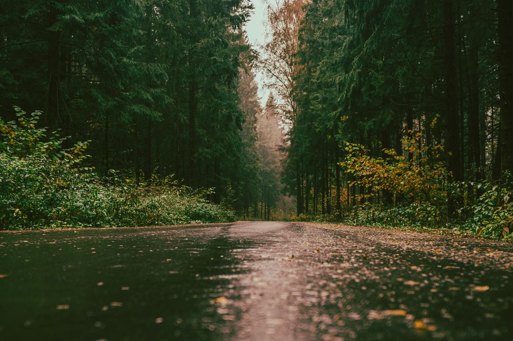 Photograph by Александра Лаврентьева