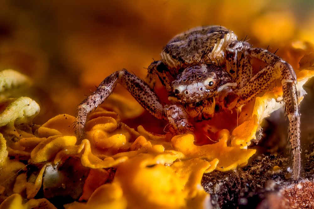 Photograph by Юрий Яковлевич