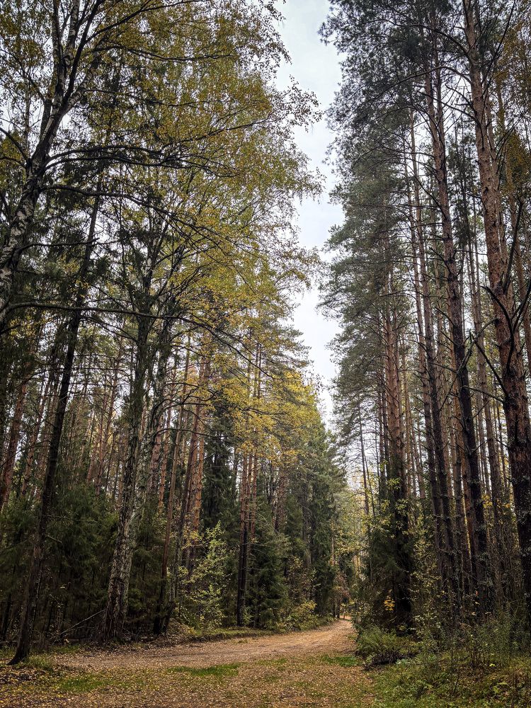 Photograph by Иван Весельников