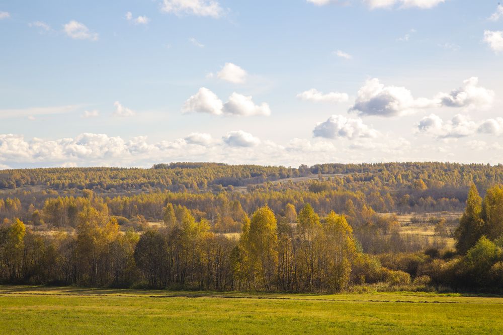 Золотая осень