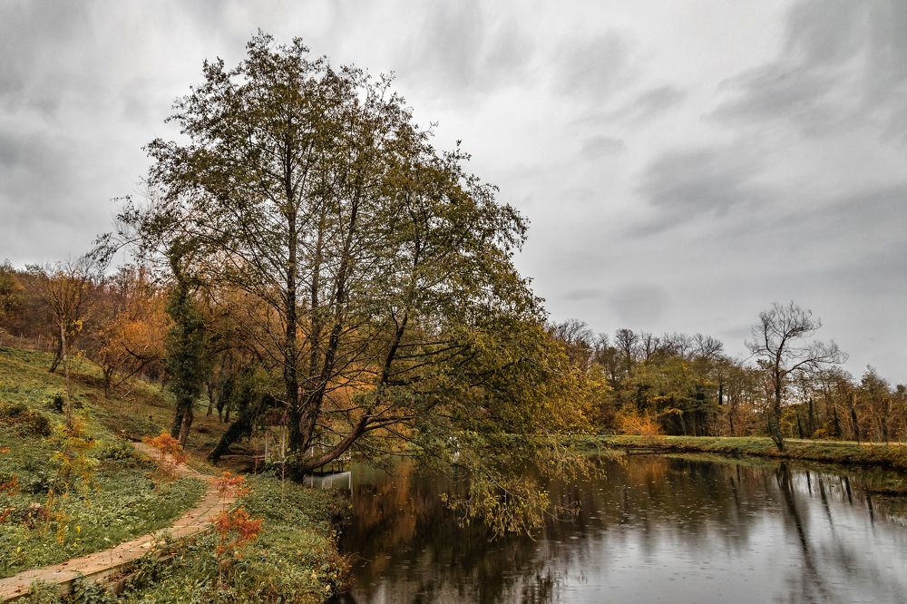 Photograph by Виталий Шкадинов