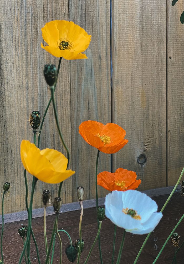 Photograph by Анастасия