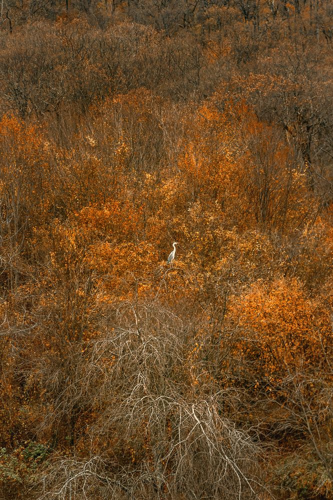 Photograph by Виталий Шкадинов