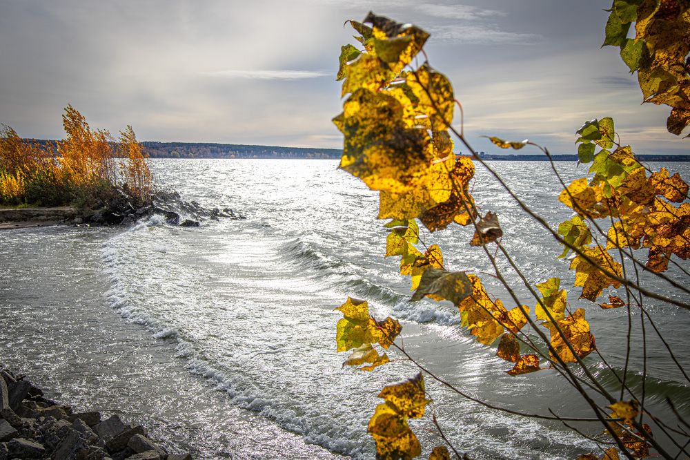 Фотография автора Алена Скокова