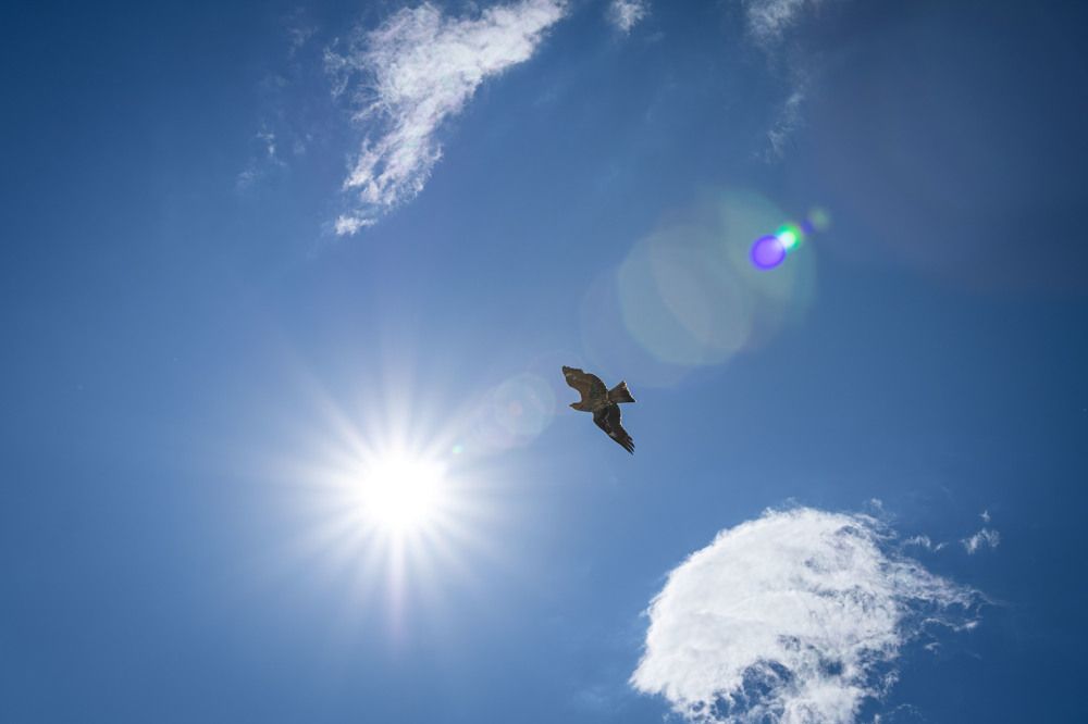 Фотография автора Алена Скокова