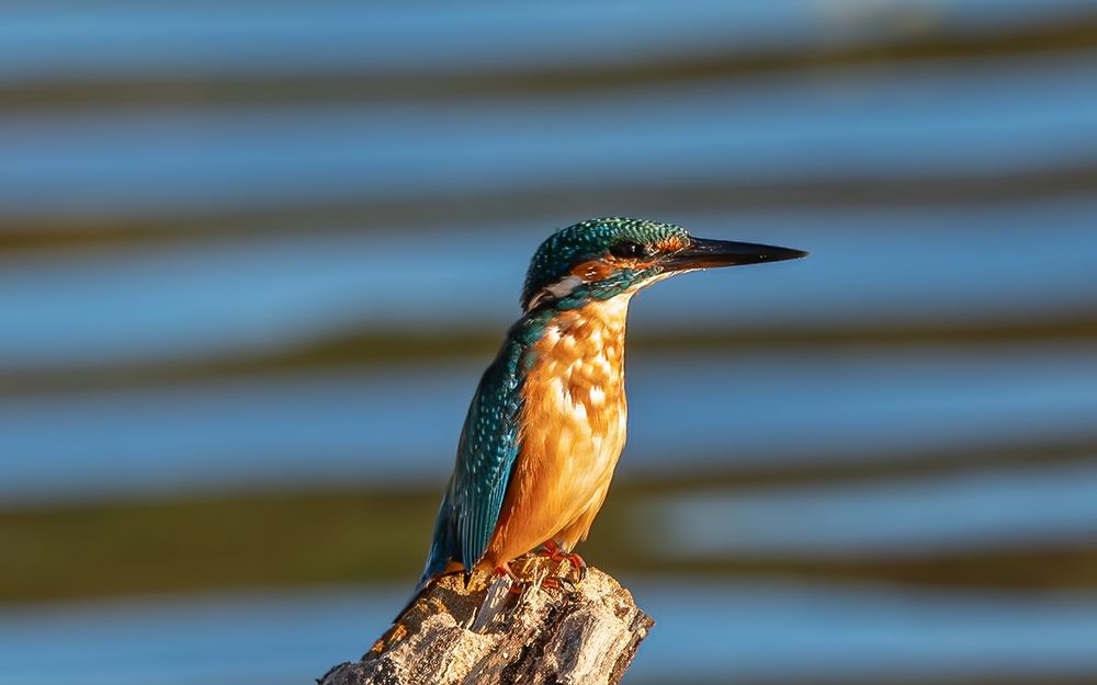 Photograph by Viktor Makarov