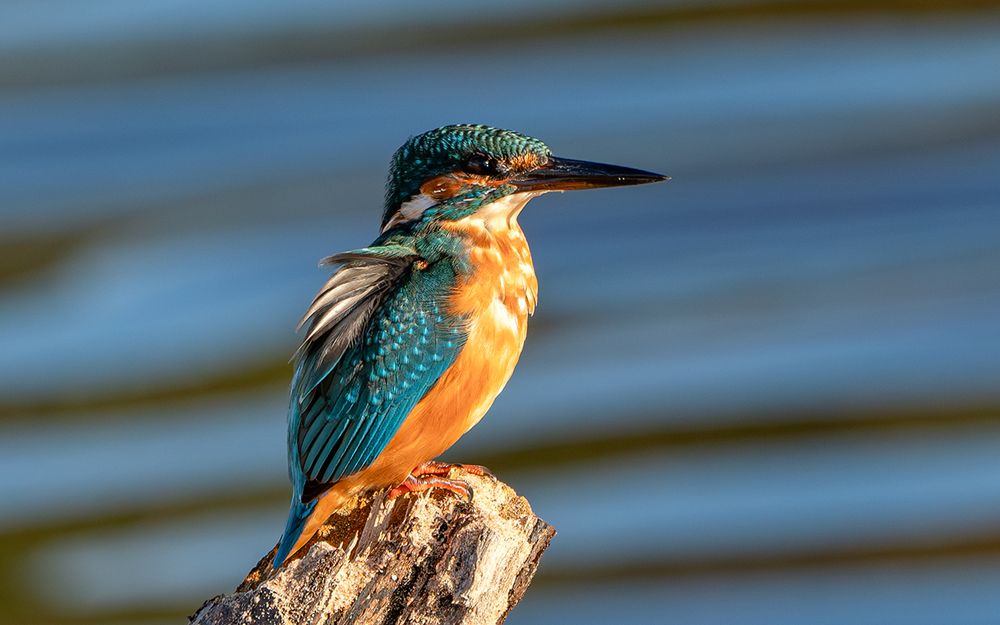 Photograph by Viktor Makarov