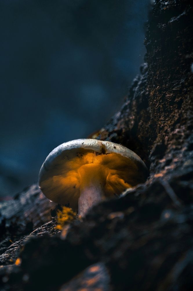 Фотография автора Ketov Vladimir