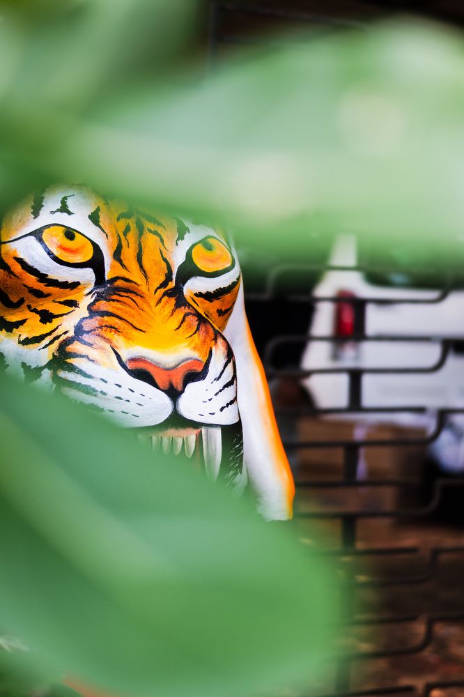 Photograph by GOVIND VISWANATH