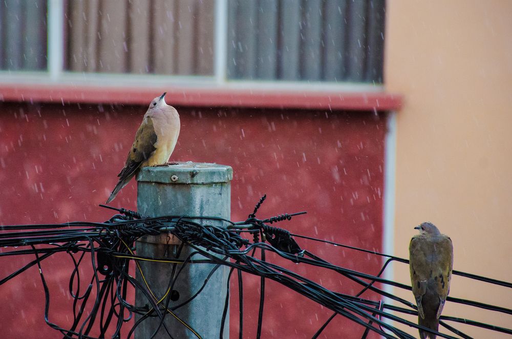 Фотография автора Said Yasser Ale Salinas