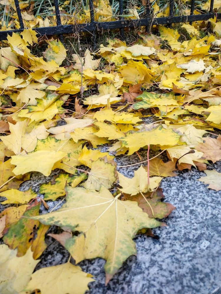 Photograph by Sergey Kurkov-Tarkovsky